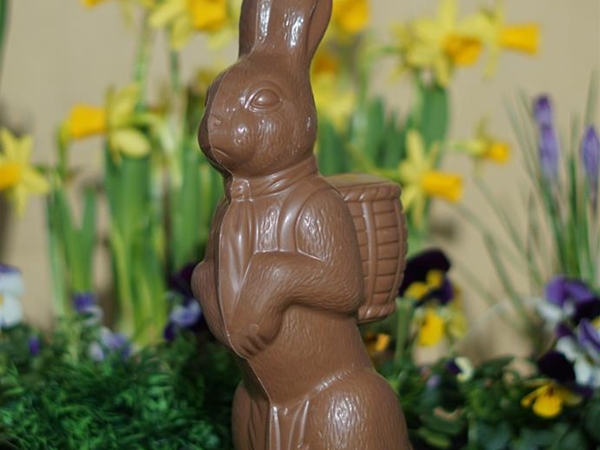 Mandhaas middel 200gram 26cm