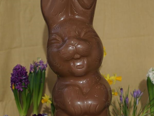 Lach haas mega 1,5kilo 65cm